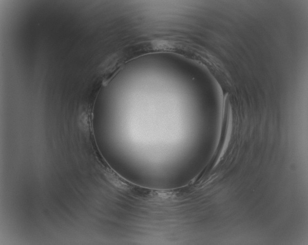 X0000073950329200608281222