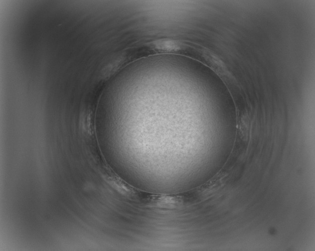 X0000073950330200608281222