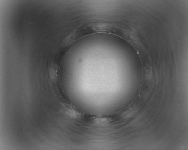 X0000073950332200608281221