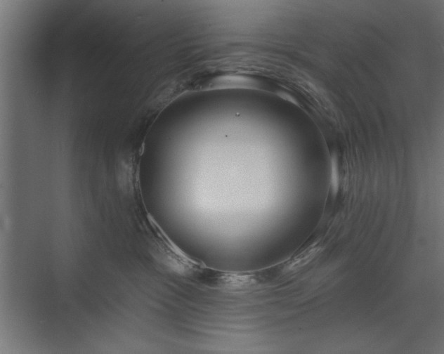 X0000073950333200608281221