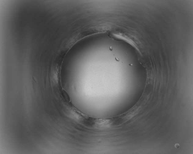 X0000073950334200608281221