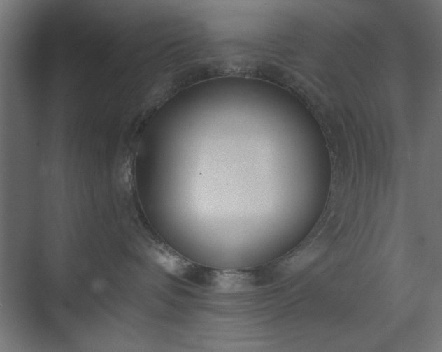 X0000073950336200608281221