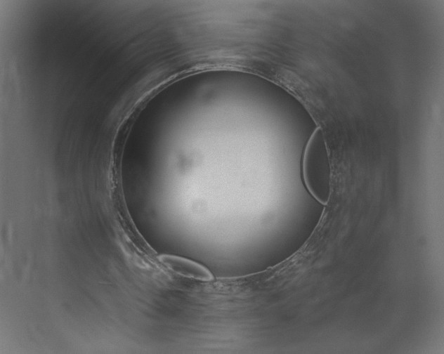 X0000073950338200608281221