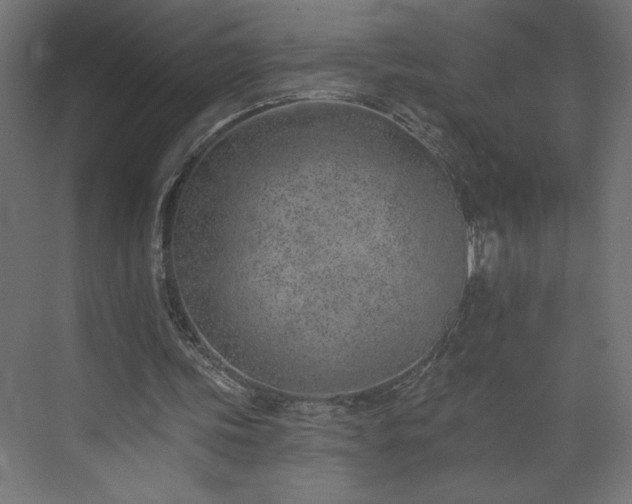 X0000073950339200608281221