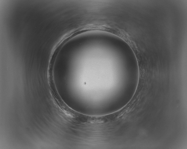 X0000073950340200608281221