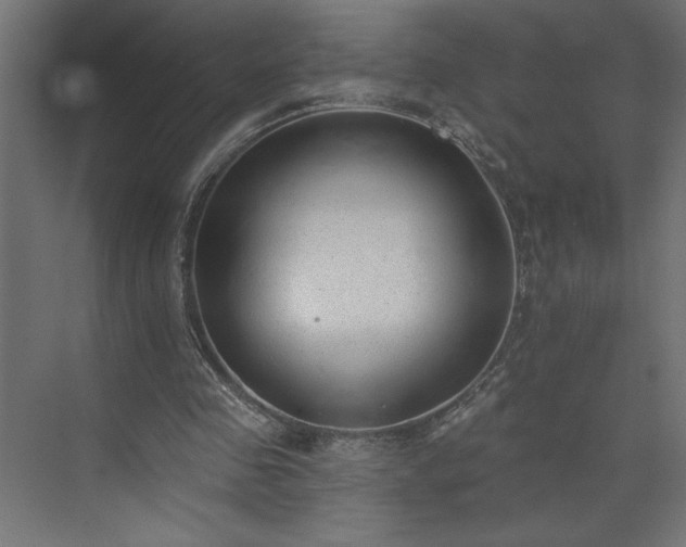 X0000073950341200608281221