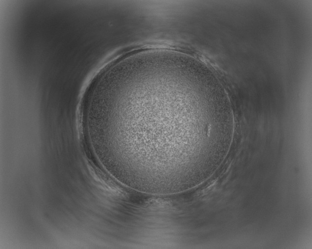 X0000073950343200608281221