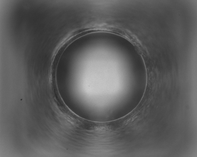 X0000073950344200608281221