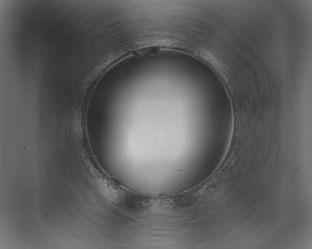 X0000073950345200608281221