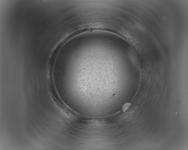 X0000073950347200608281221