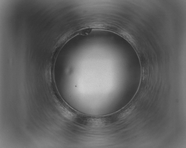 X0000073950349200608281221