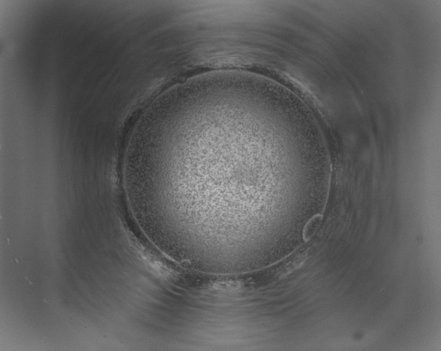 X0000073950353200608281221