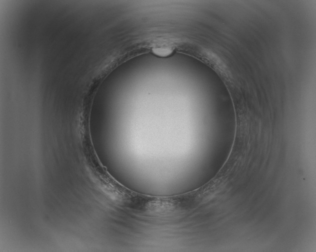 X0000073950354200608281221