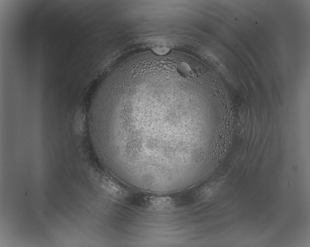 X0000073950355200608281221