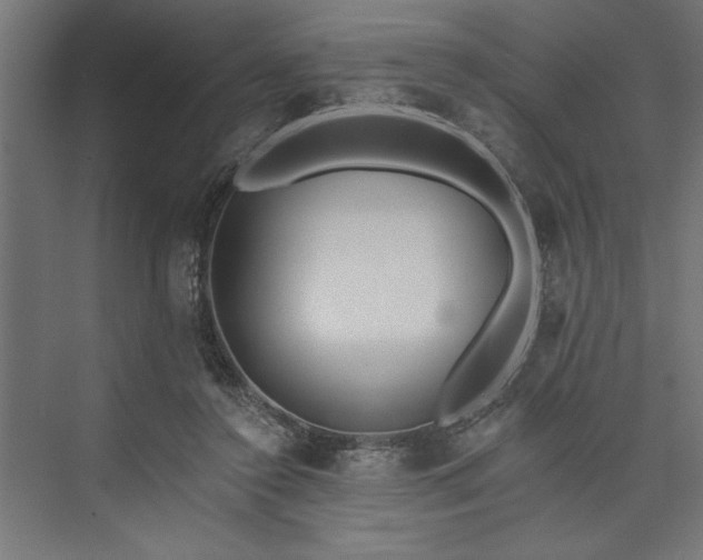 X0000073950356200608281221