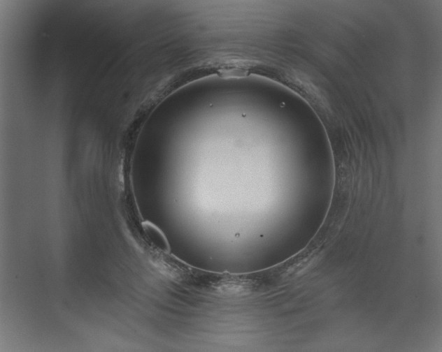 X0000073950358200608281221