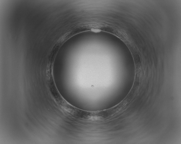 X0000073950360200608281221