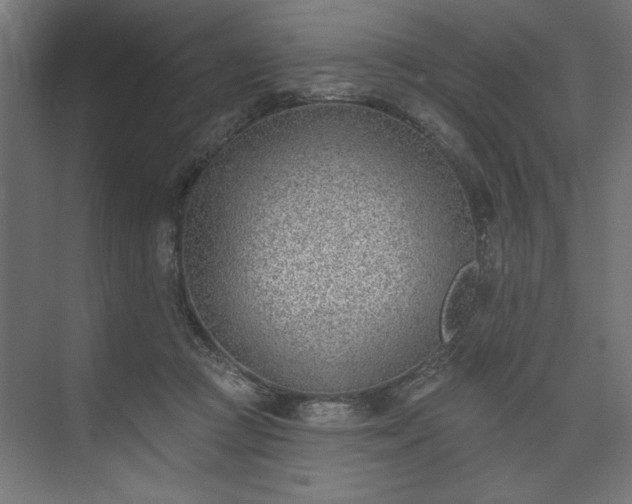 X0000073950361200608281221