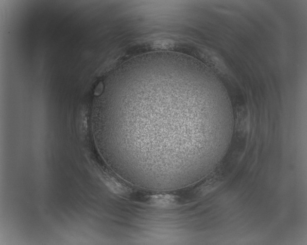 X0000073950363200608281221