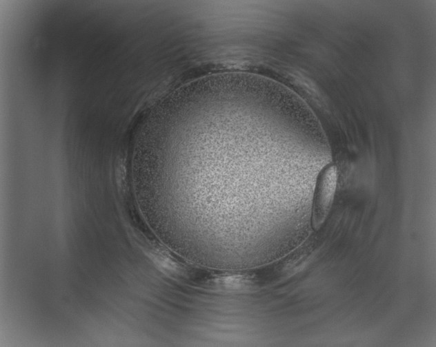 X0000073950365200608281221