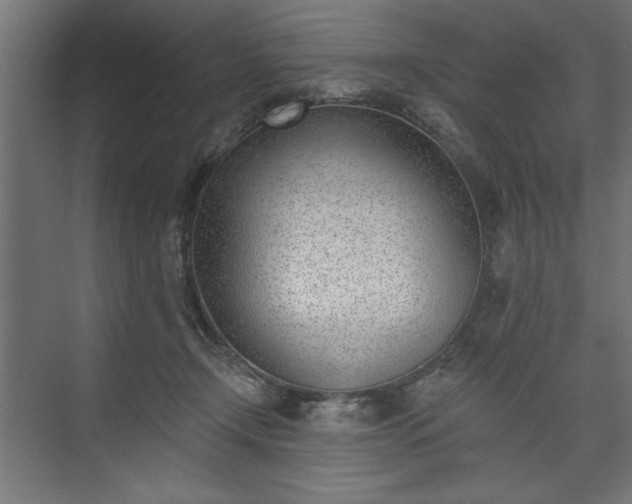 X0000073950366200608281221