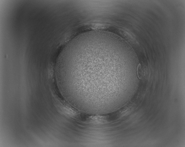 X0000073950367200608281221