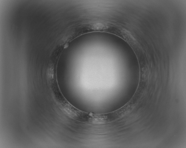 X0000073950368200608281221