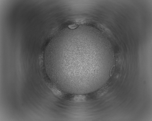 X0000073950369200608281221