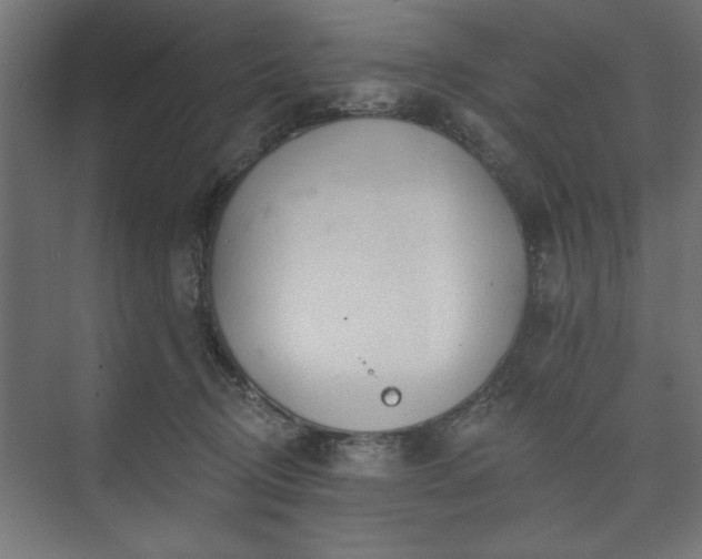 X0000073950370200608281221