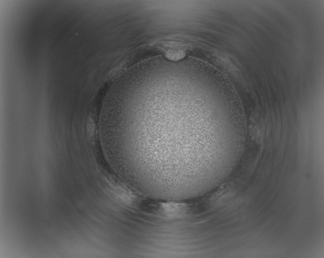 X0000073950371200608281221