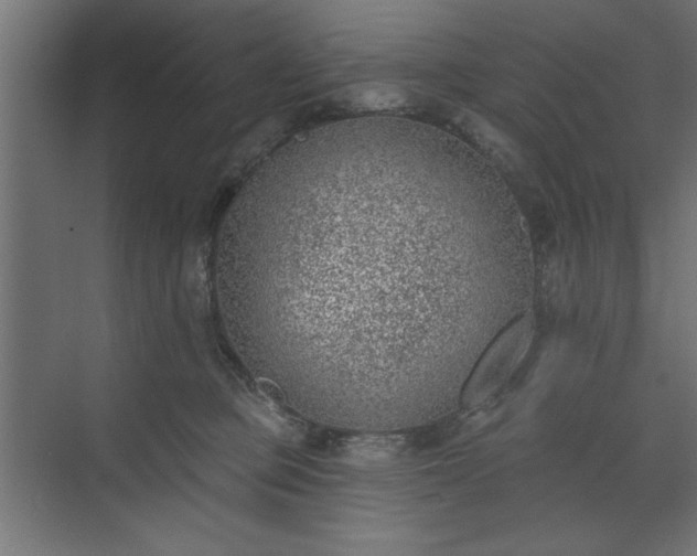 X0000073950373200608281221