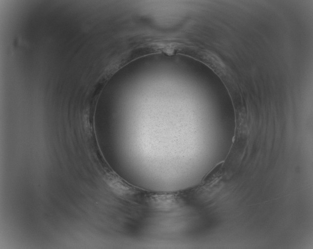 X0000073950377200608281221