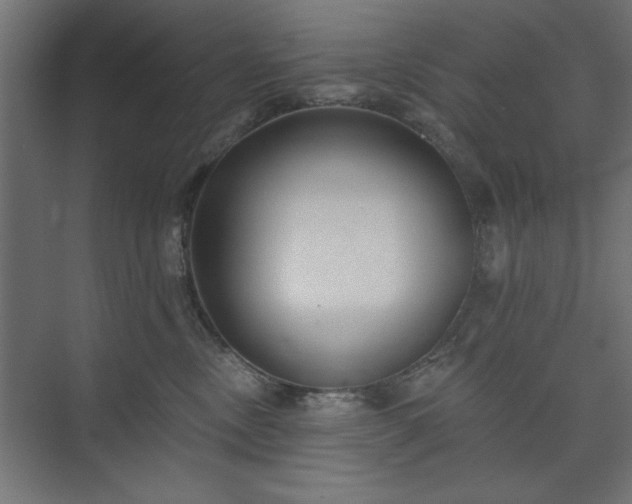 X0000073950378200608281221