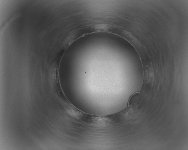 X0000073950379200608281221