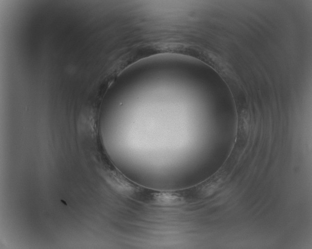 X0000073950380200608281221