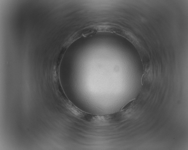 X0000073950381200608281221