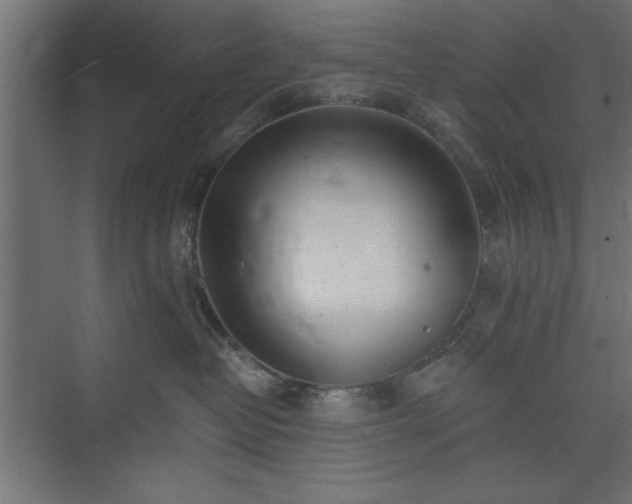 X0000073950382200608281221