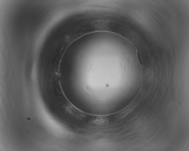 X0000073950383200608281221