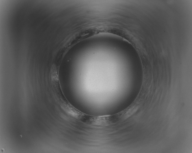 X0000073950384200608281221