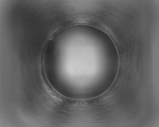 X0000073950386200608281221