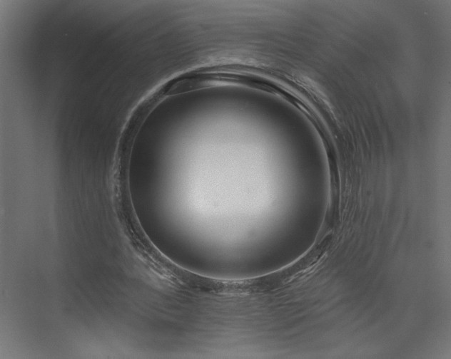 X0000073950388200608281221