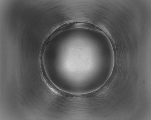 X0000073950389200608281221