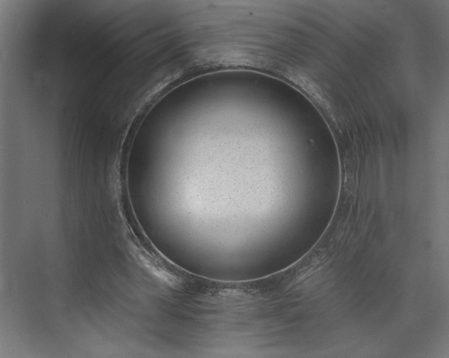 X0000073950390200608281221