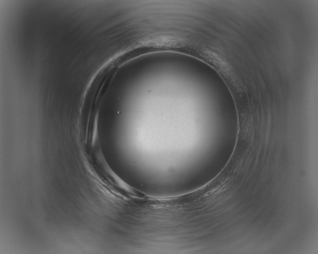 X0000073950392200608281220