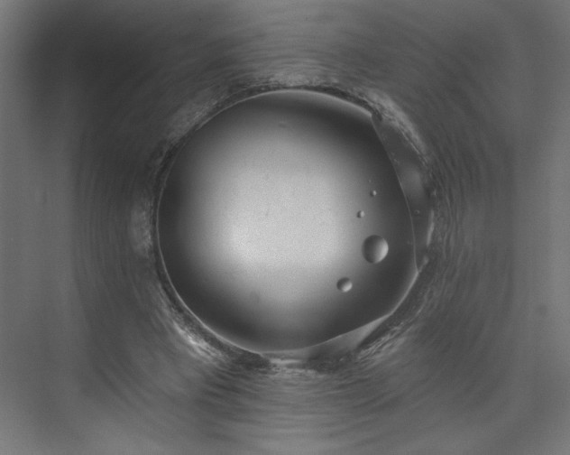 X0000073950393200608281220