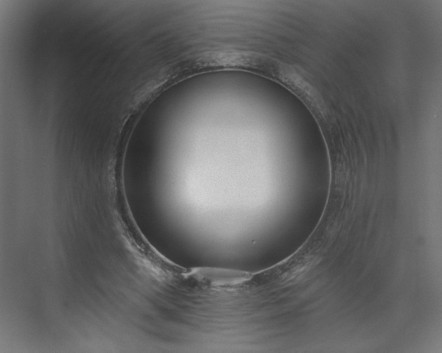 X0000073950394200608281220