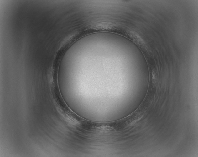 X0000073950396200608281220