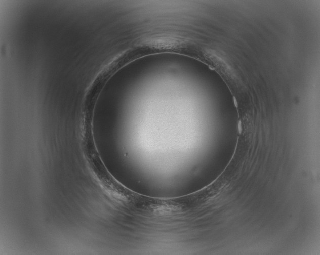 X0000073950400200608281220