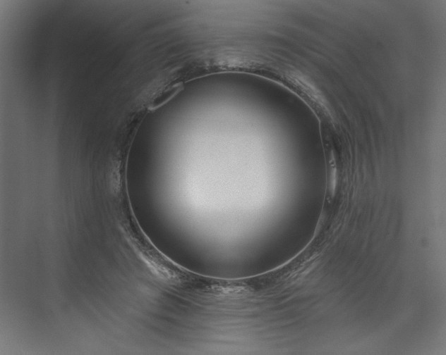 X0000073950401200608281220