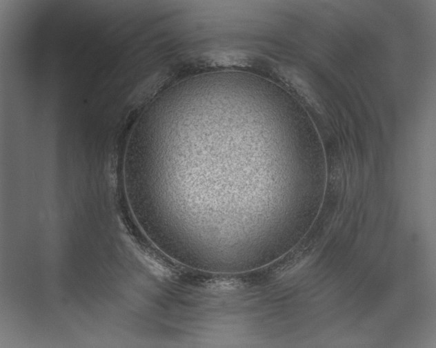 X0000073950402200608281220